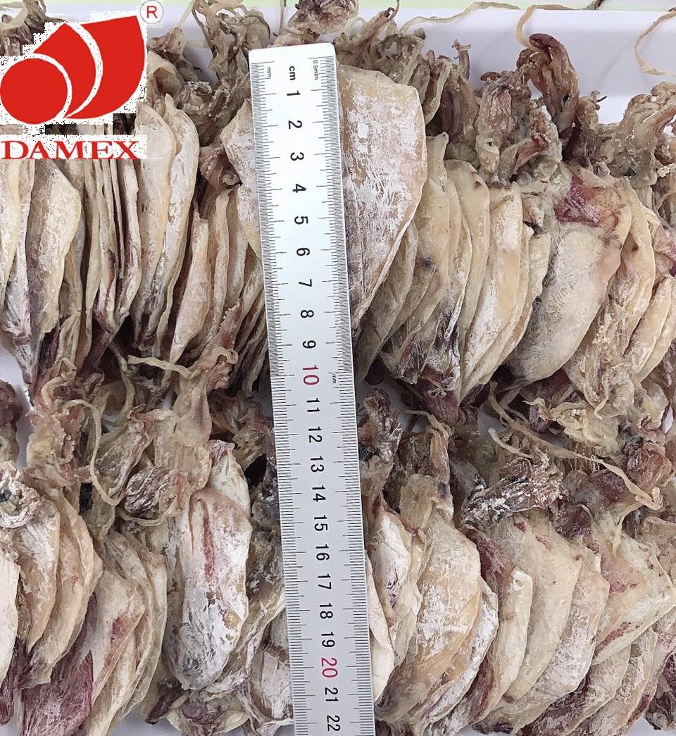 Khô mực DAMEX size trung combo 22 con