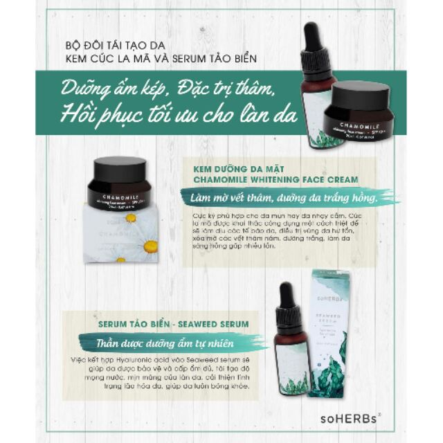 soHERBs Seaweed Serum - Tảo Biển