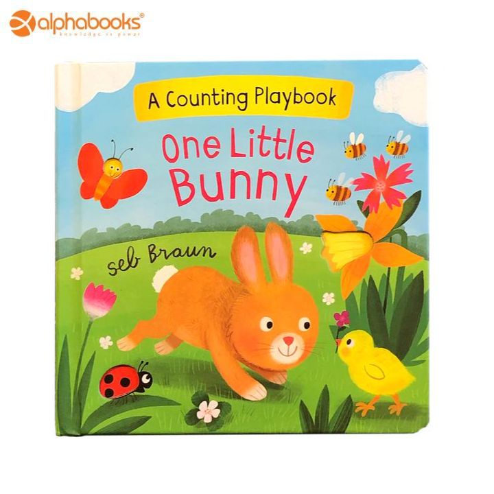 Baby Book: One Little Bunny