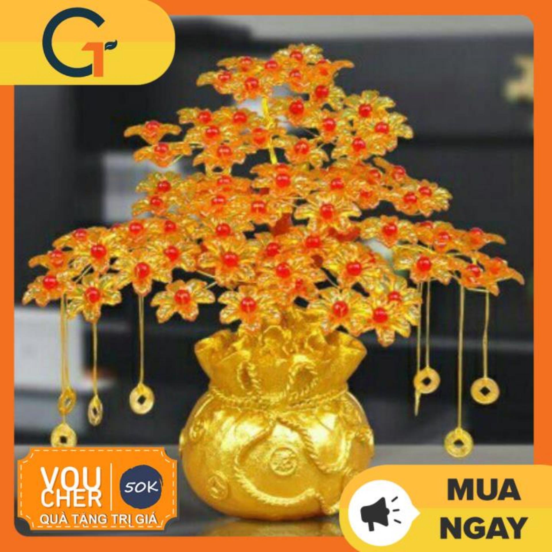 Cây cành vàng lá ngọc đế đầu rồng trang trí ngày tết