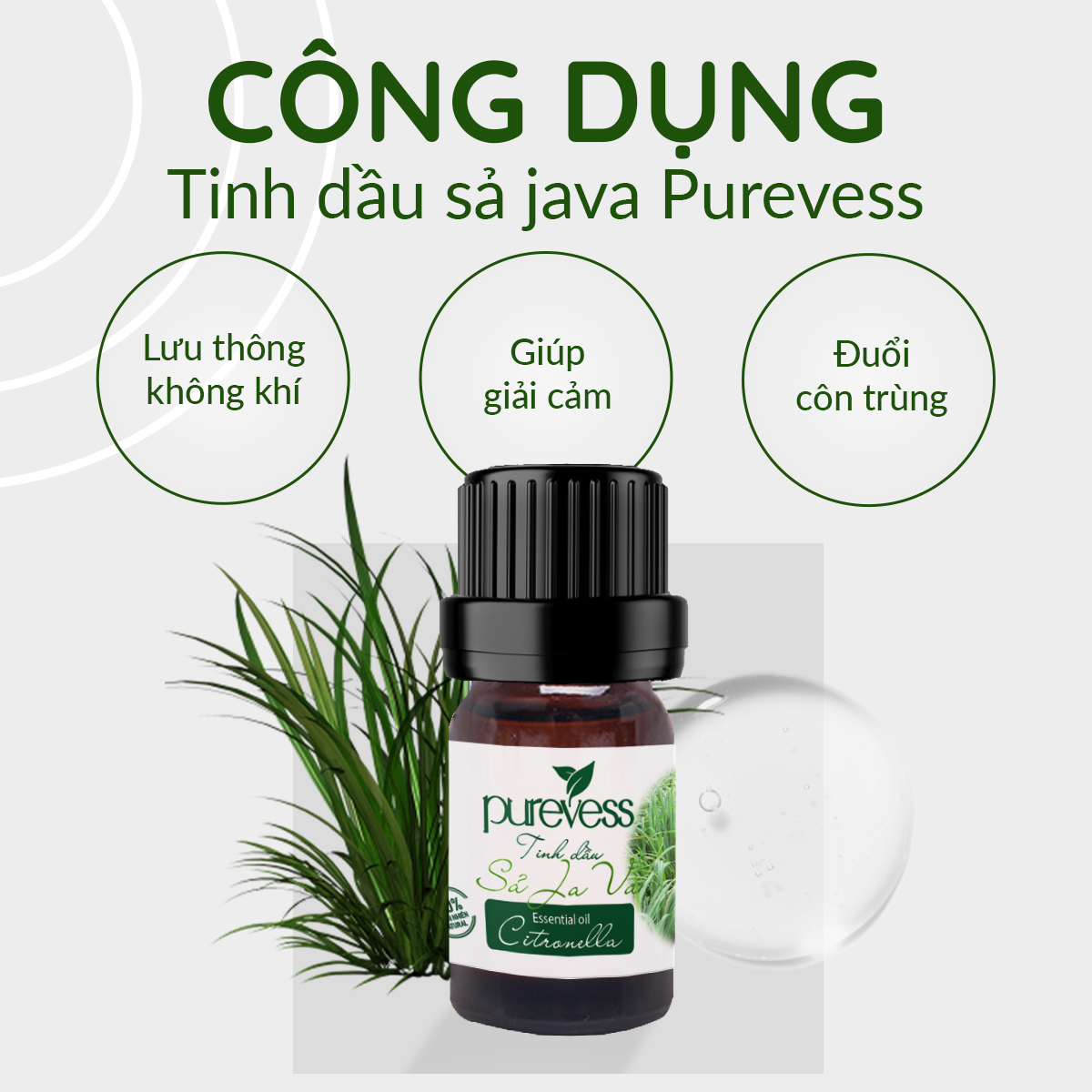 Tinh dầu Sả Java Purevess tinh dầu xông phòng tinh dầu đuổi muỗi