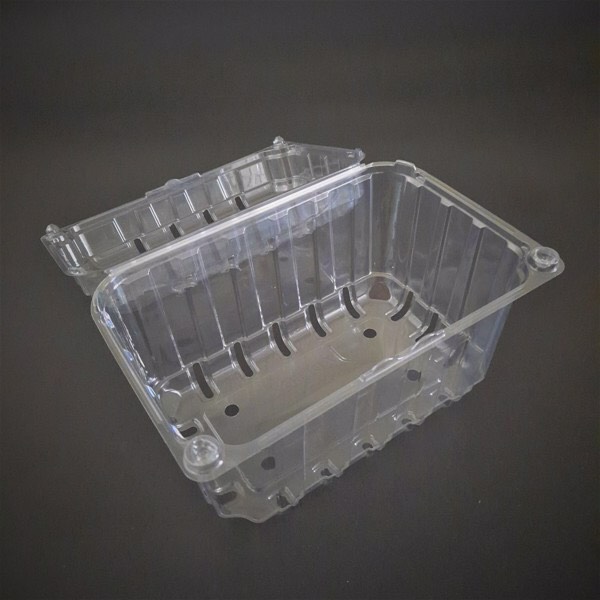 Hộp nhựa đựng trái cây Jadebox ( 0,5kg - 1kg )