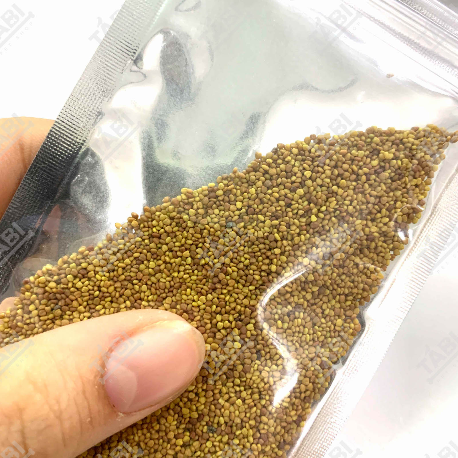 Hạt Giống Thuỷ Sinh - Cây Trồng Thuỷ Sinh