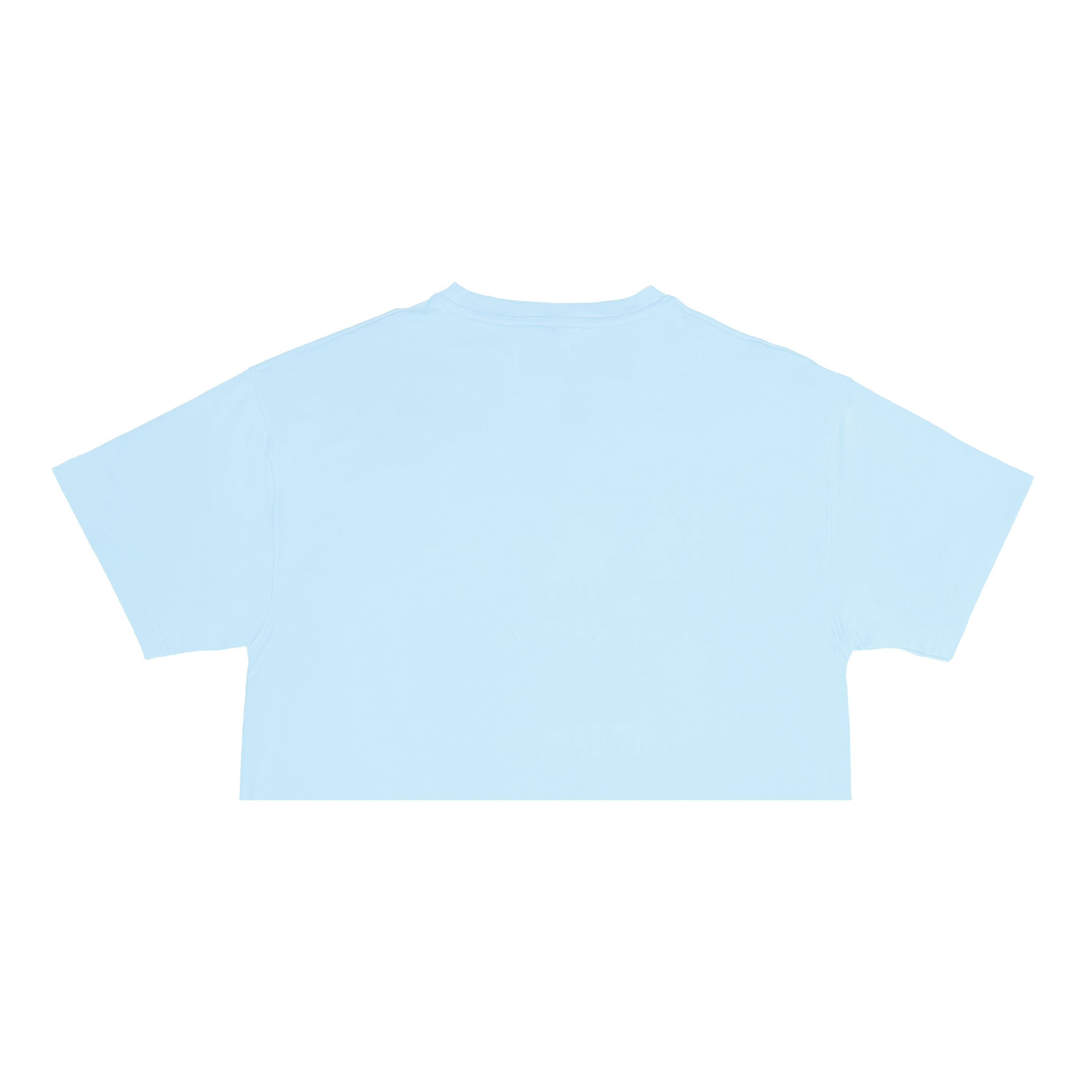 Áo thun nữ croptop Davies DSS Croptop Basic Logo SS2 - Blue