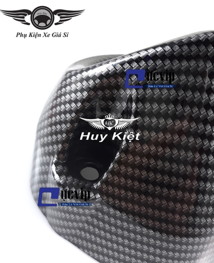 [HCM]Chụp Đích Pô Carbon Exciter 150 MS1485