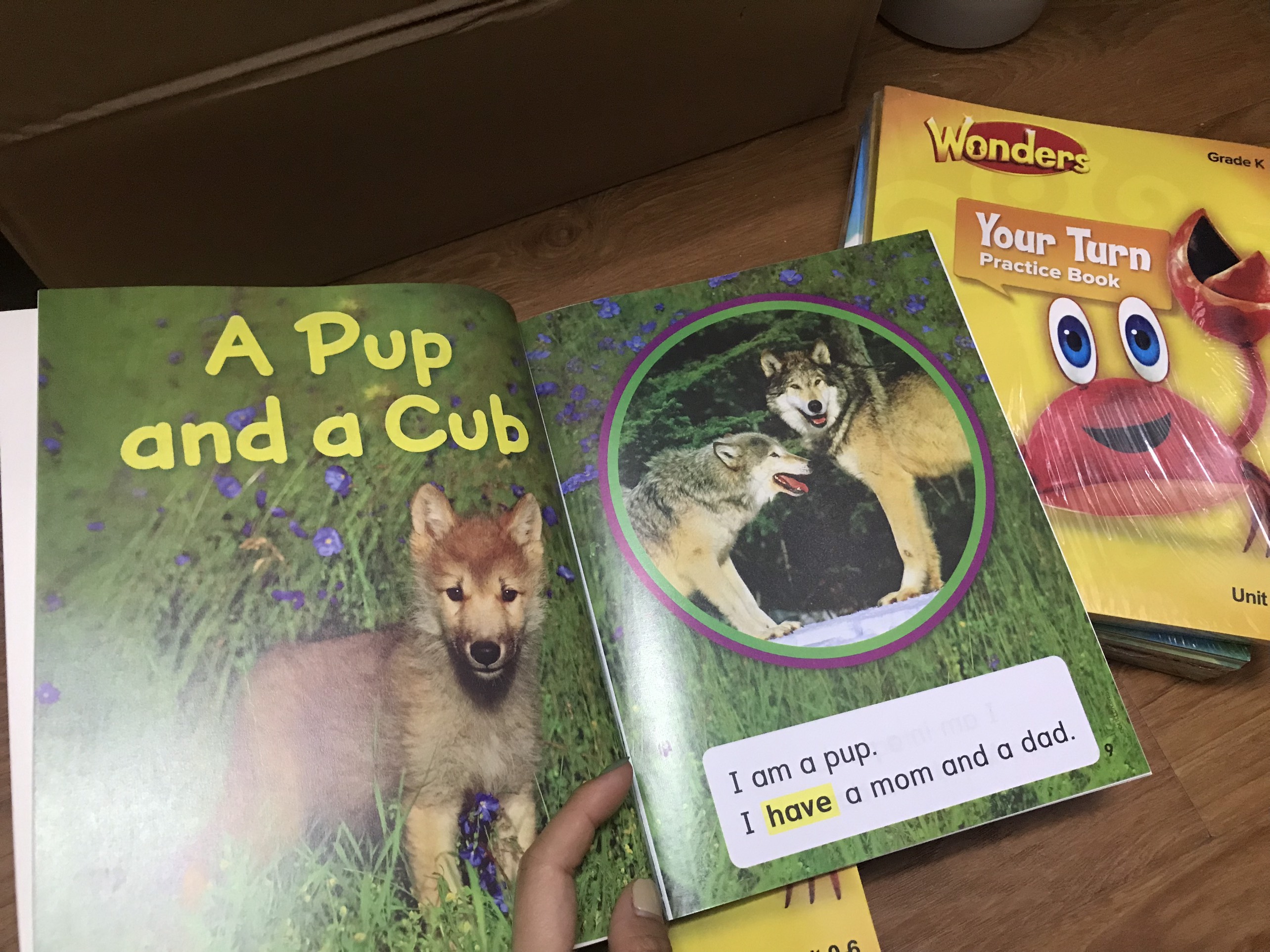 Wonders ( Reading and writing workshop) – 13 quyển