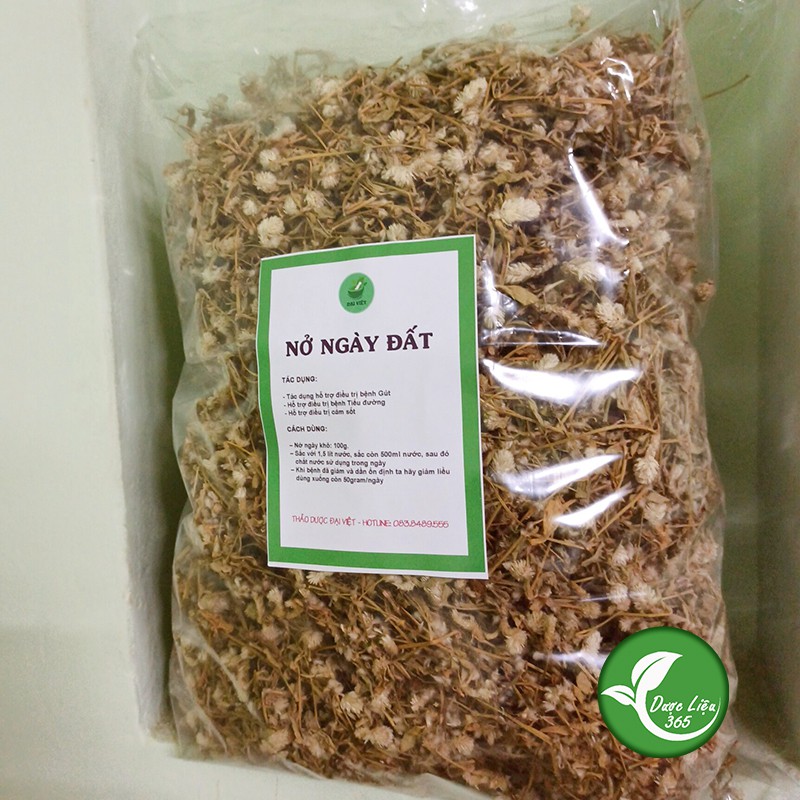 Cây Nở Ngày Đất khô [1KG] Hàng cam kết sạch đẹp