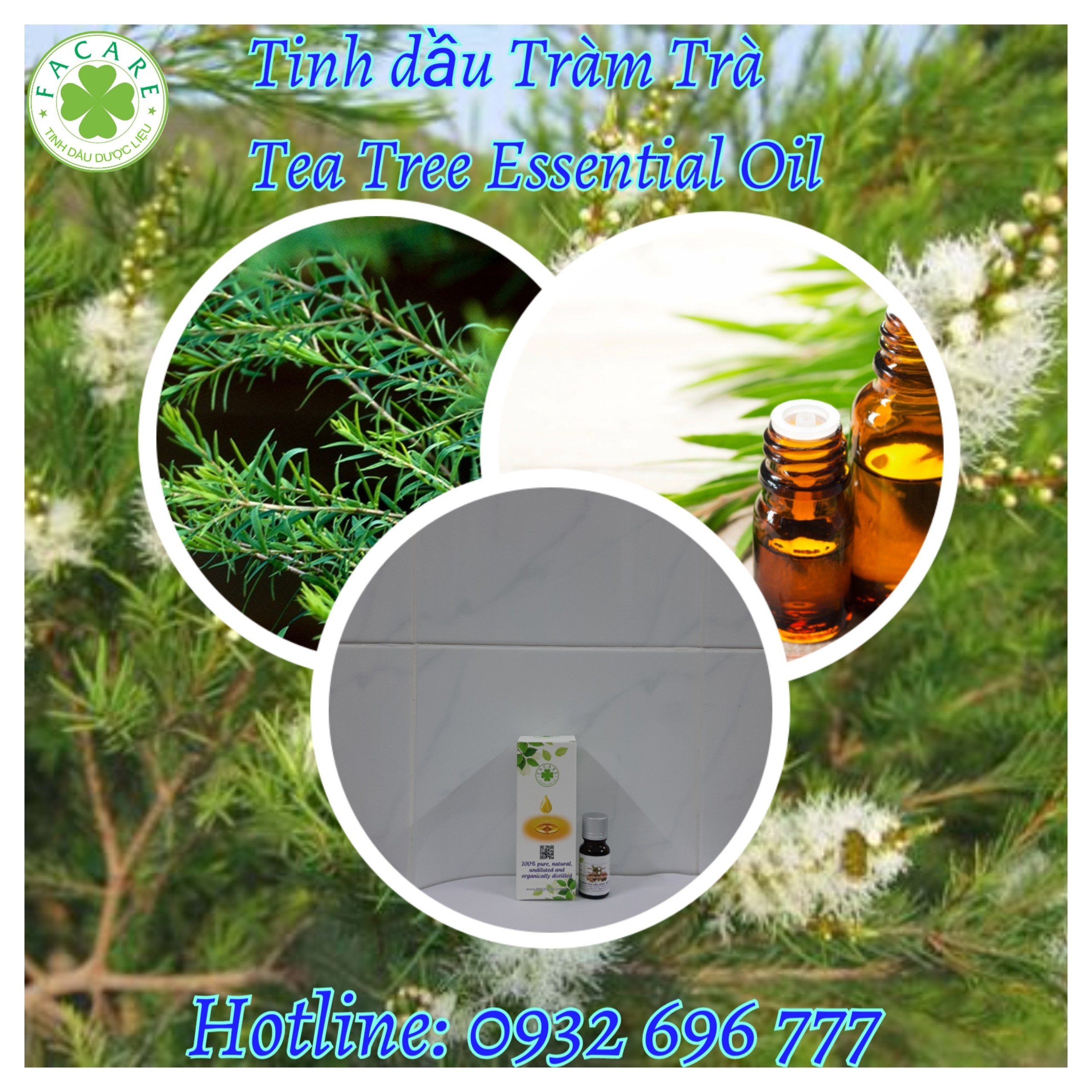 Tinh dầu Tràm Trà Tea tree essential oil - 10ml
