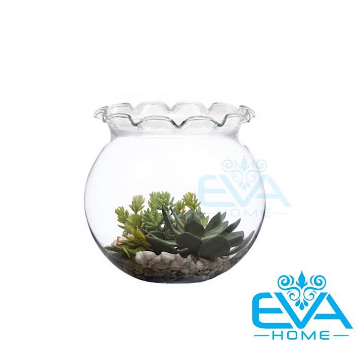[HCM]Hồ Cá Bể Cá Miệng Bèo Thuỷ Tinh Mini B7 9 x 10 Cm Tặng Kèm Sỏi Và Rong Trang Trí