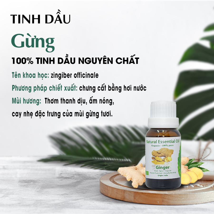 Tinh Dầu Aroma Gừng Ginger - 10ml/15ml/30ml/50ml