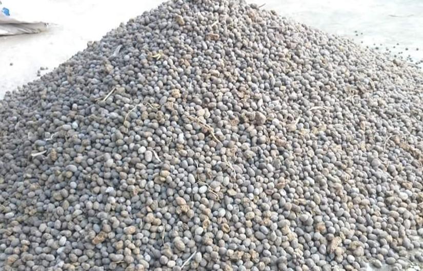 Phân dê viên đã sử lý nấm trichoderma với lan xanh đơn vị tính 1kg