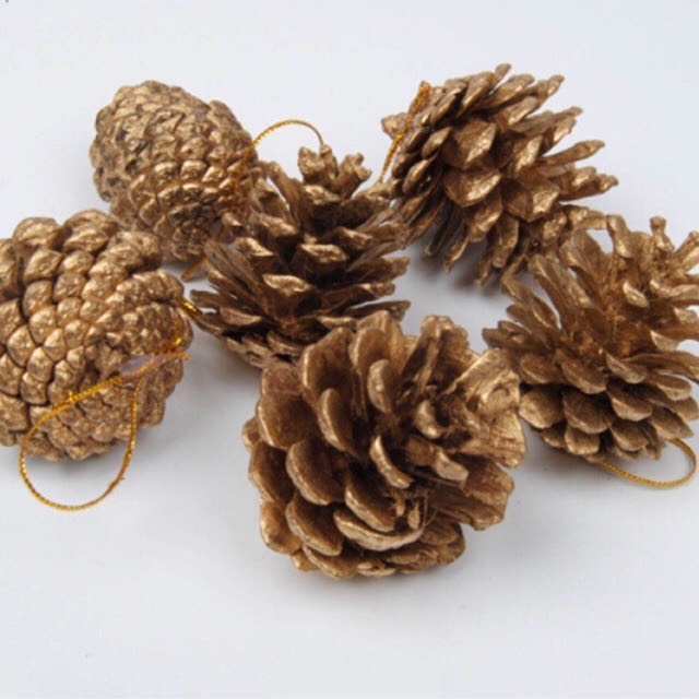 Combo 10 trái thông trang trí cây thông noel