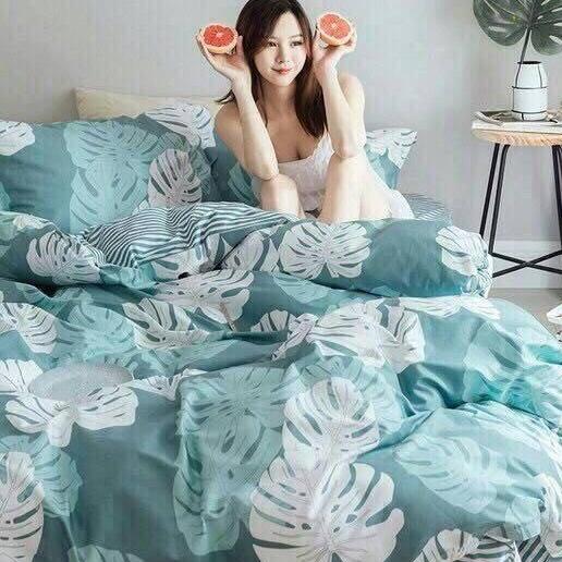 BỘ CHĂN GA GỐI HÀN QUỐC 180X200