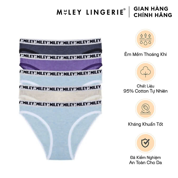 Combo 5 Quần Melange Active Kháng Khuẩn Miley Lingerie