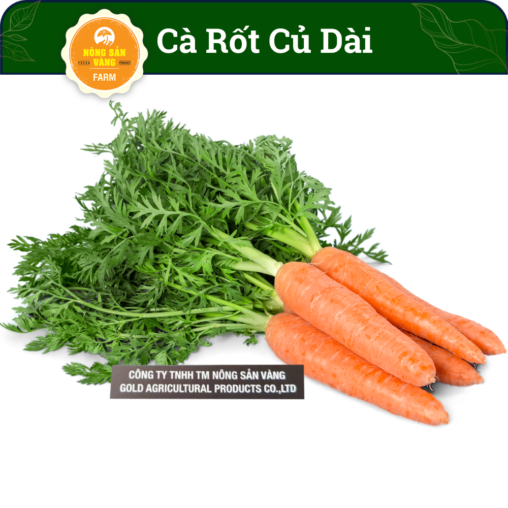 F1 easy-to-grow carrot seed (3 gram pack)-shallow yellow