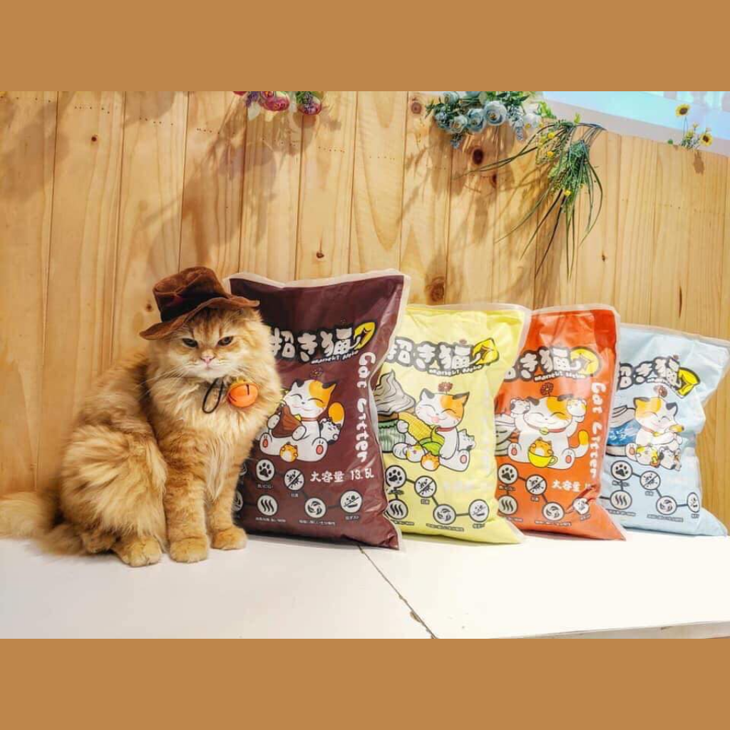 Maneki Neko 5L Cát vệ sinh cho mèo