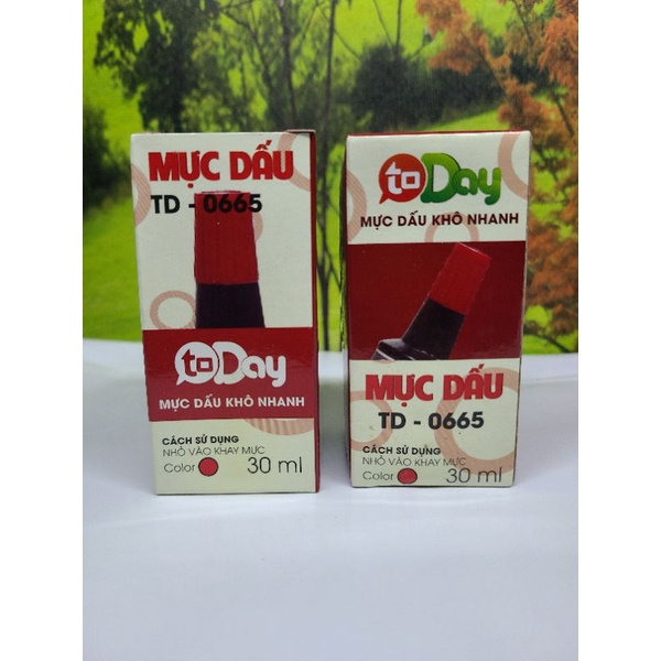 Mực Dấu Today - Mực Đổ Dấu 30 Ml / Lọ