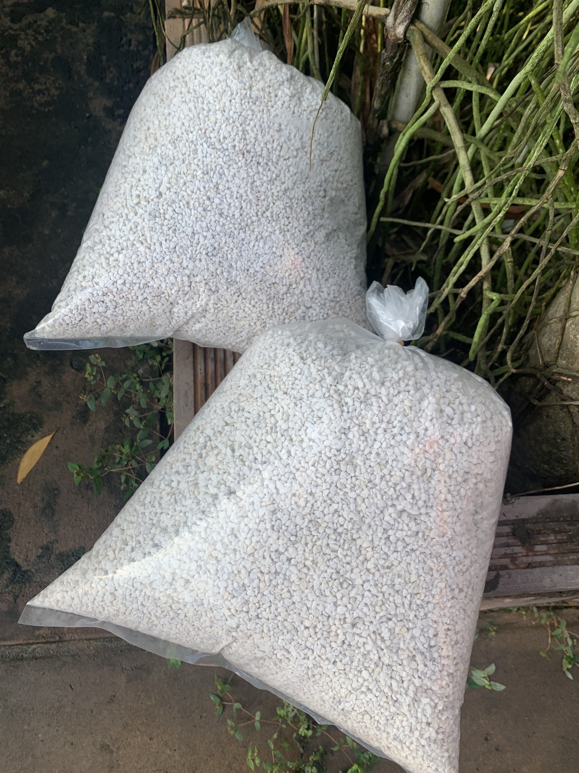 Đất ấp bò sát Trắng 500g