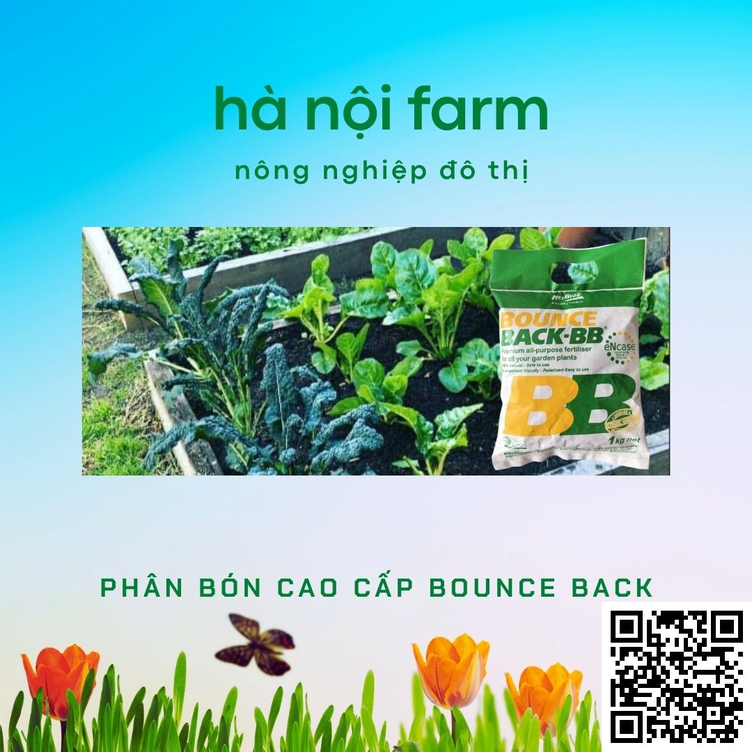 Phân hữu cơ BB, Phân gà úc ( Bounce back ) Australia. Gói 1kg