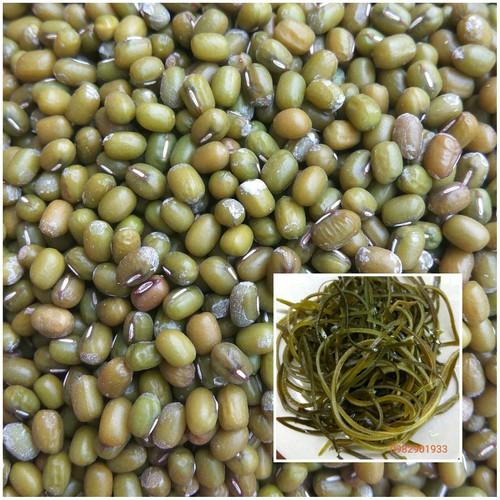 combo 500g đậu xanh với 50g phổ tai nấu chè