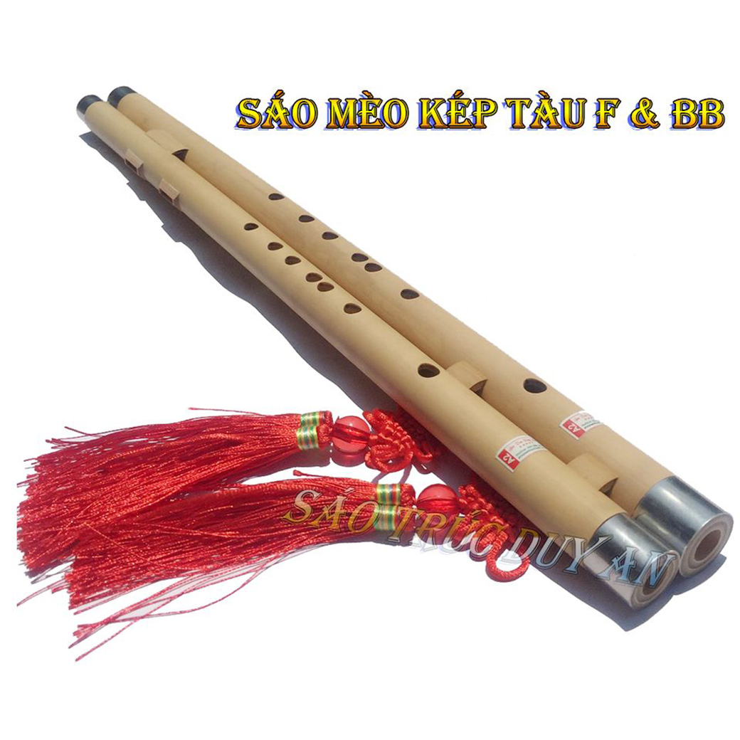 sáo mèo kép