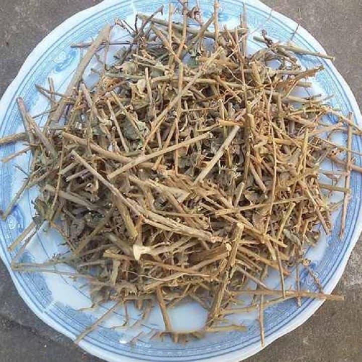 cà gai leo khô cao cấp 500g
