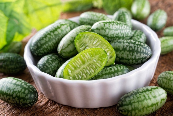 Hạt giống Dưa Hấu Tí Hon (Hà Lan) gói 5 hạt