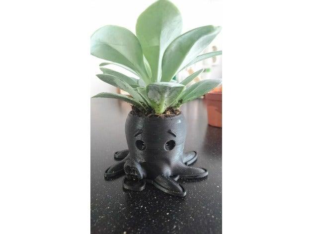 Chậu cây bạch tuộc siêu dễ thương - Cute Octopus planter