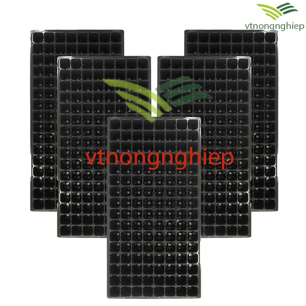 5 khay ươm hạt 128 lỗ