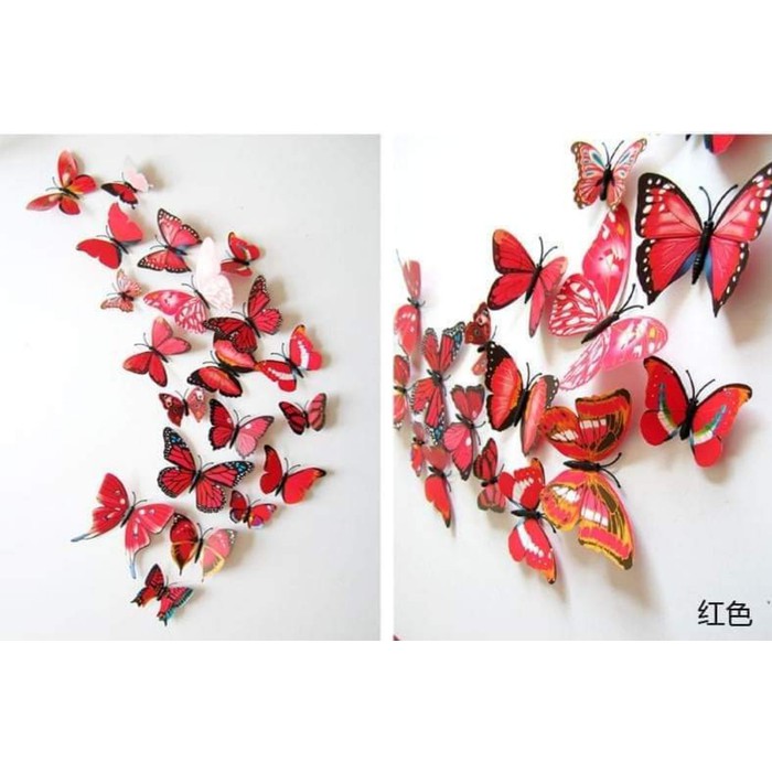 SET 12 bướm 3D gắn tường nhiều màu
