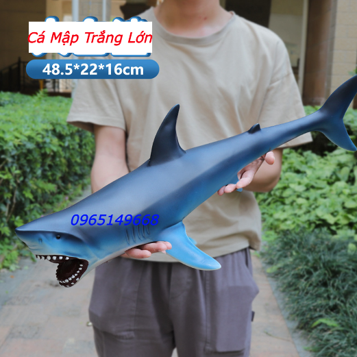 Đồ chơi mô hình cá mập đầu búa, cá mập voi, cá mập trắng (Hàng Sẵn)