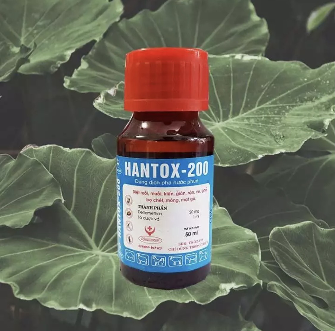 THUỐC DIỆT RUỒI MUỖI KIẾN GIAN HANTOX 200 50ml