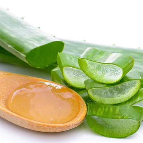 Gel Lô Hội Cấp Ẩm Maycreate 98% - Tipsbeayty
