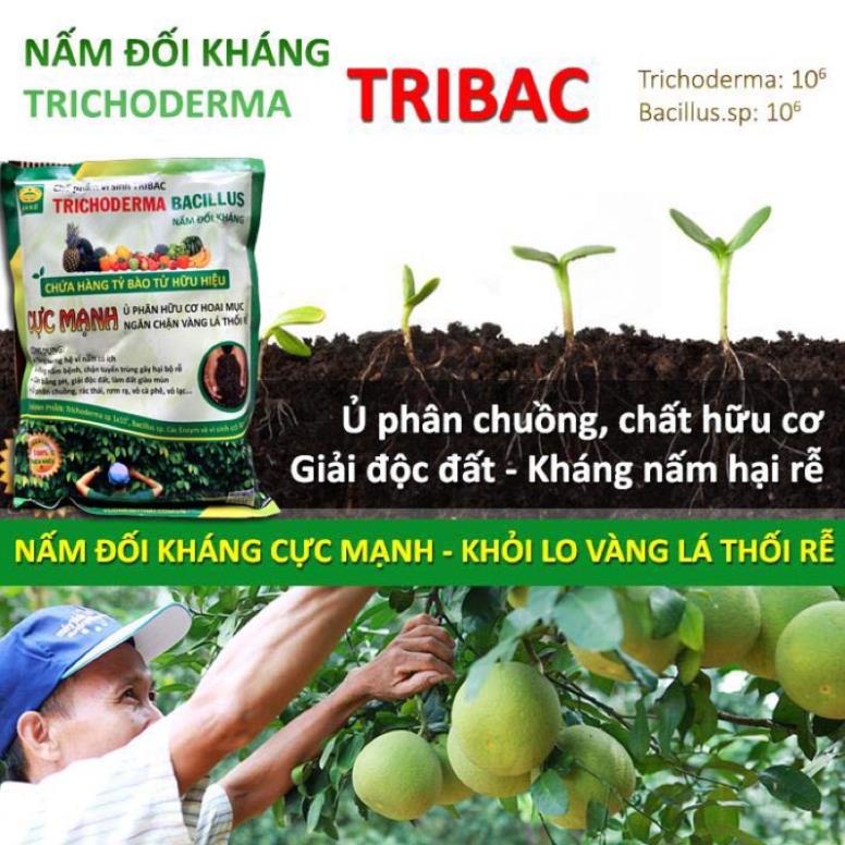 1kg nấm đối kháng Trichoderma ủ phân hữu cơ .