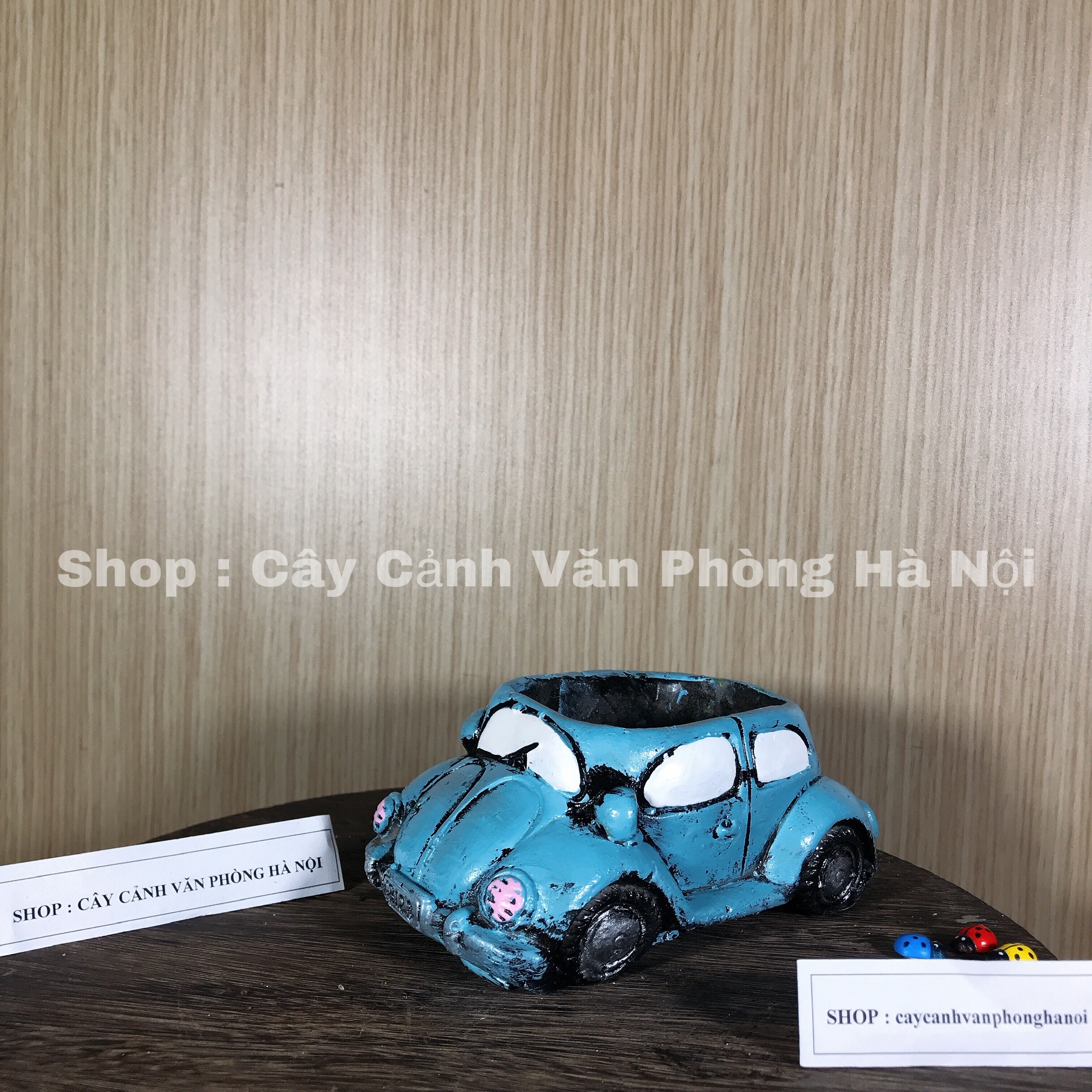 chậu trồng cây hình ô tô cổ [ tặng kèm đất trồng cây ]