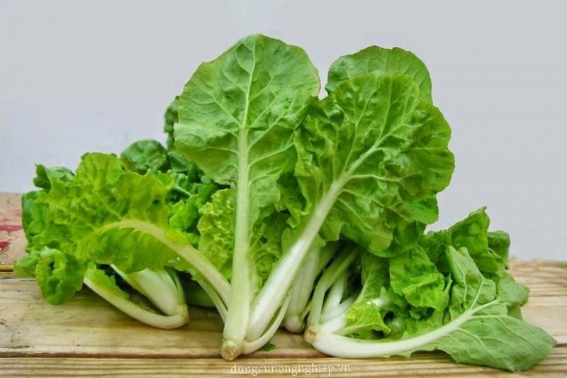 [HCM]Gói 10g hạt giống cải bẹ dún