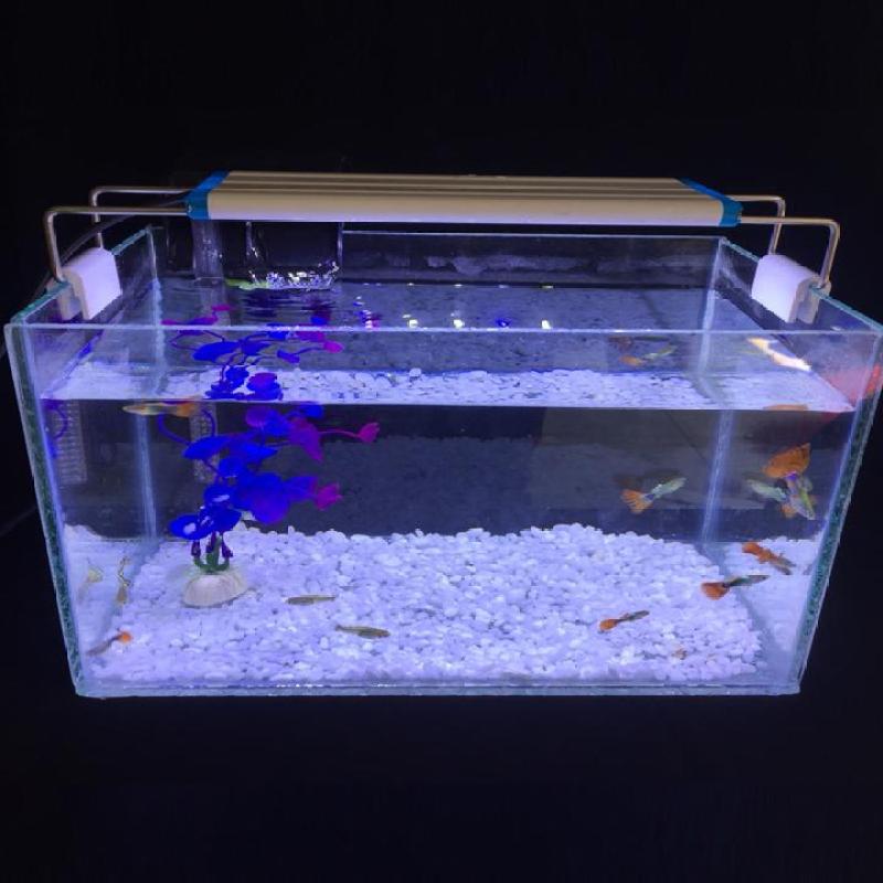 Combo Hồ cá + Lọc nước + Đèn led 28x17x17cm