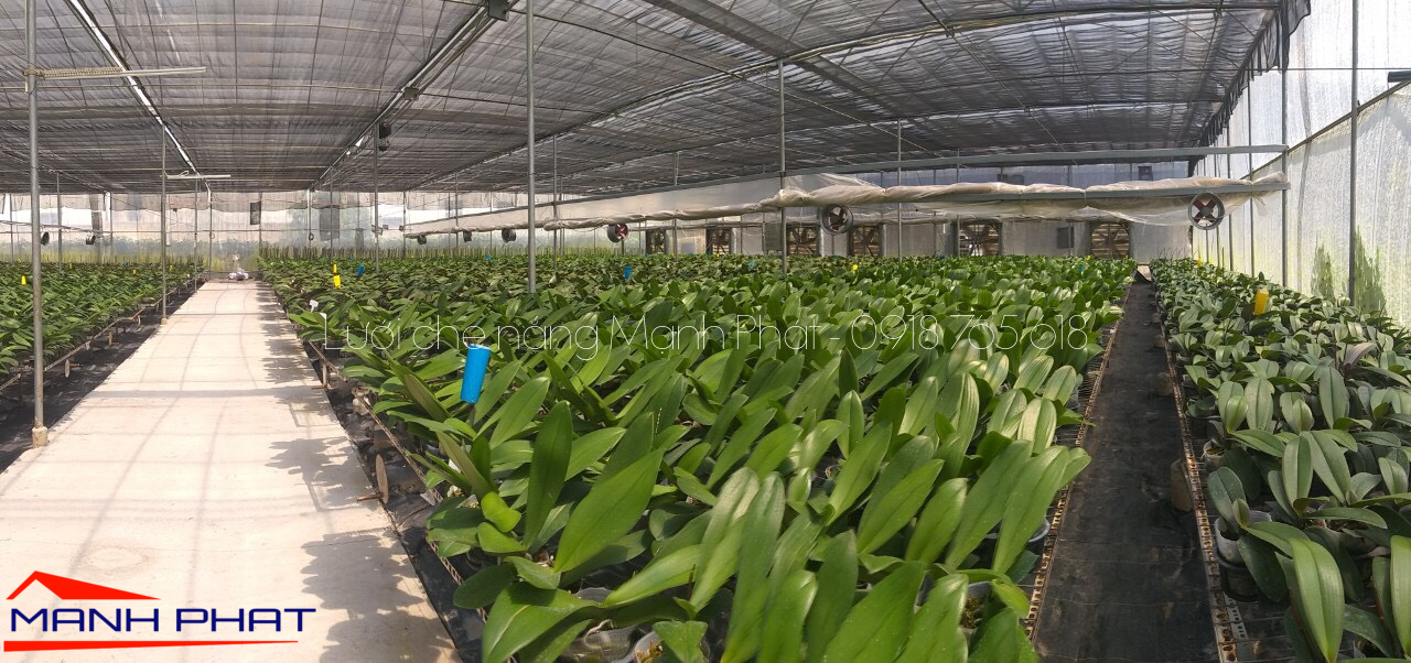 Lưới che nắng sợi tròn che lan 2m x 2m