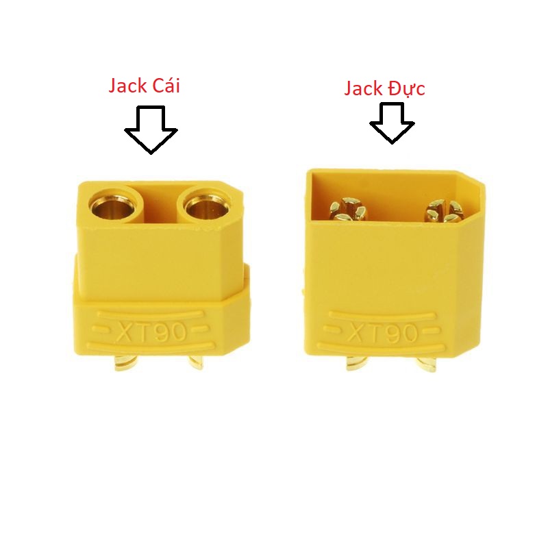 Jack cắm xt90