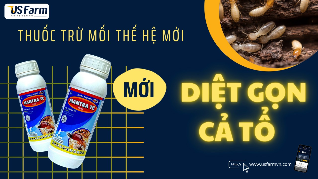 Thuốc diệt Mối MANTRA TC 305 SC - chai 50ml (Nhập Khẩu)