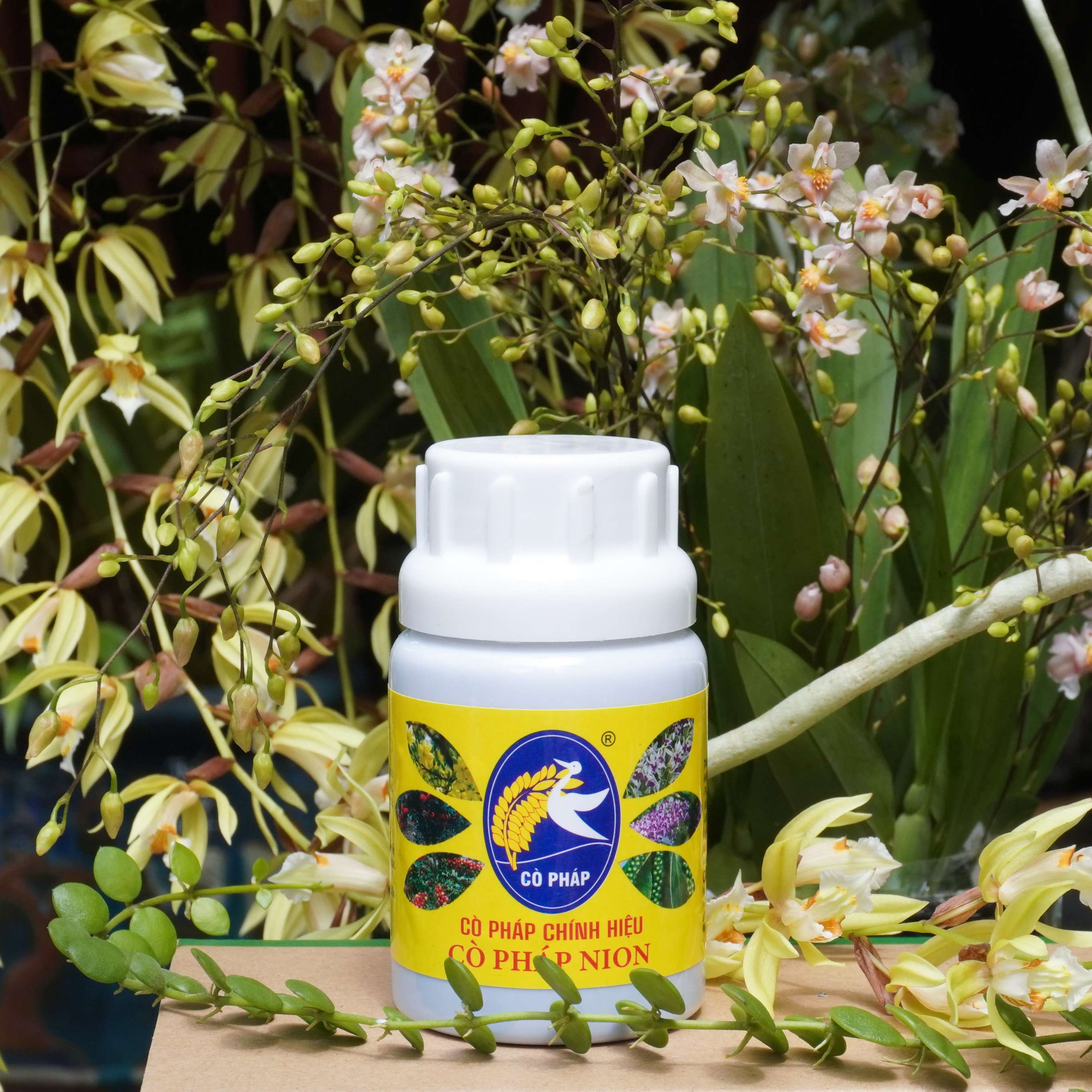 Phân Bón Nion Phục Hồi Cây Nhanh Chóng (50ml)