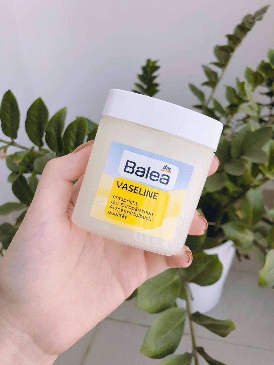 KEM NẺ VASELINE BALEA