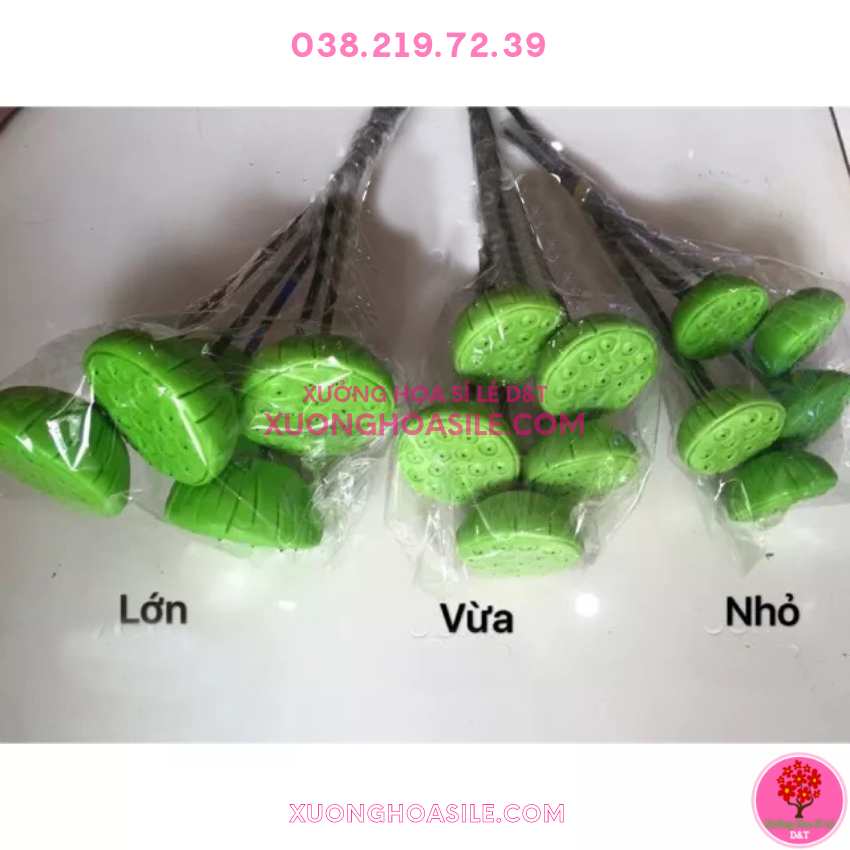 [HCM]GƯƠNG SEN ĐÀI SEN