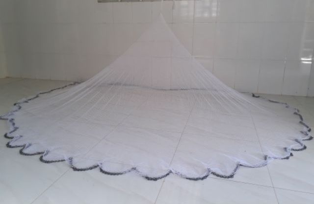 [CHÀI CÁ] CHÀI DÙ TRẮNG - CHÂN XÍCH LỖ ( 3 KG - 3.4 KG)