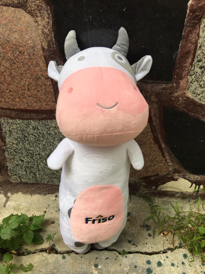 [HCM]Gối ôm bò sữa Friso