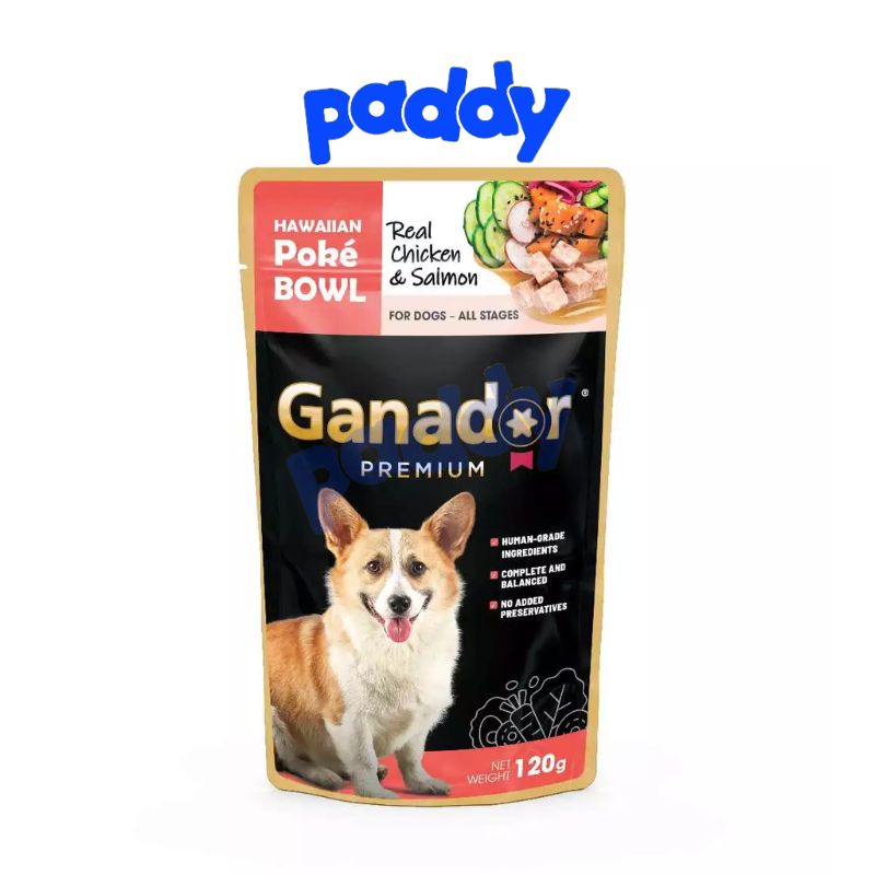 Pate Ganador Chó Mọi Lứa Tuổi Thịt Gà