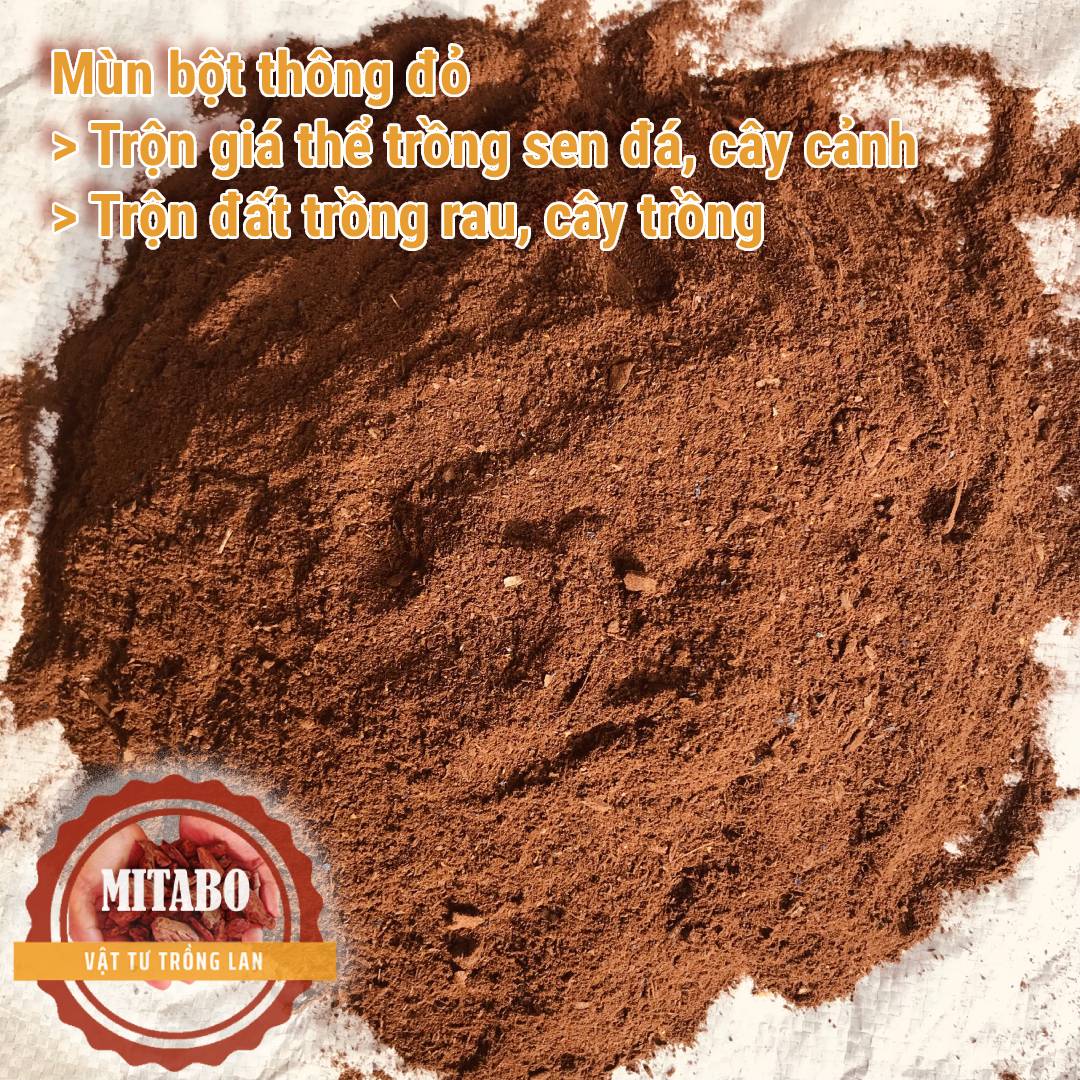 Combo 5kg Bột vụn vỏ thông đất trồng sen đá, cây cảnh Mitabo