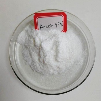 Cytokinin Kinetin 99% (Kích rễ, kích chồi trong nuôi cấy mô...) gói 100g