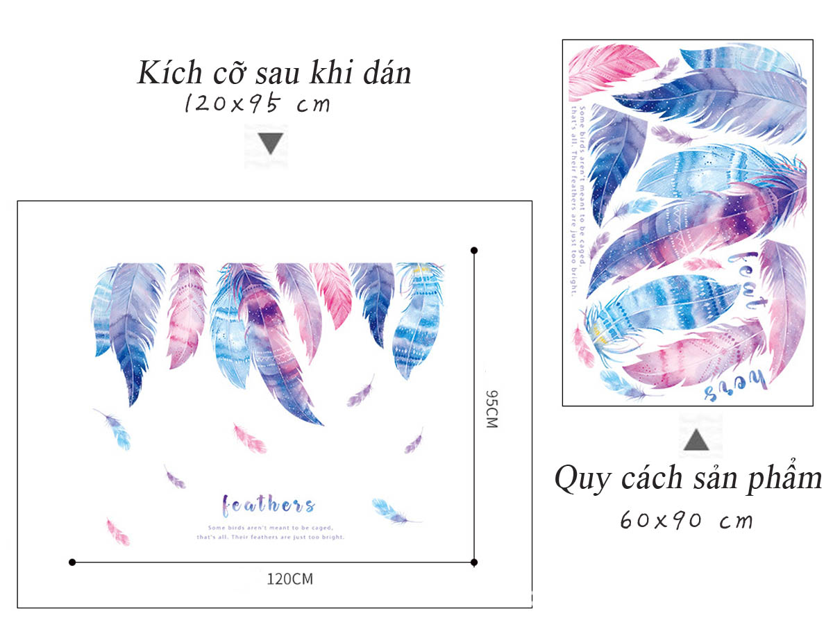 [HCM]DECAL DÁN TƯỜNG LÔNG VŨ ĐỦ MÀU 2