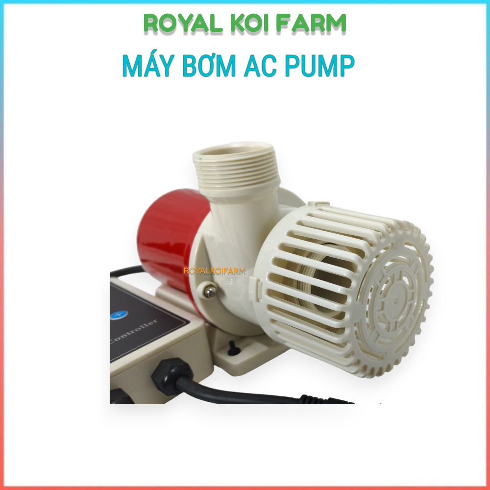 Máy Bơm Nước AC Pump 9000, 12000, 15000, 25000